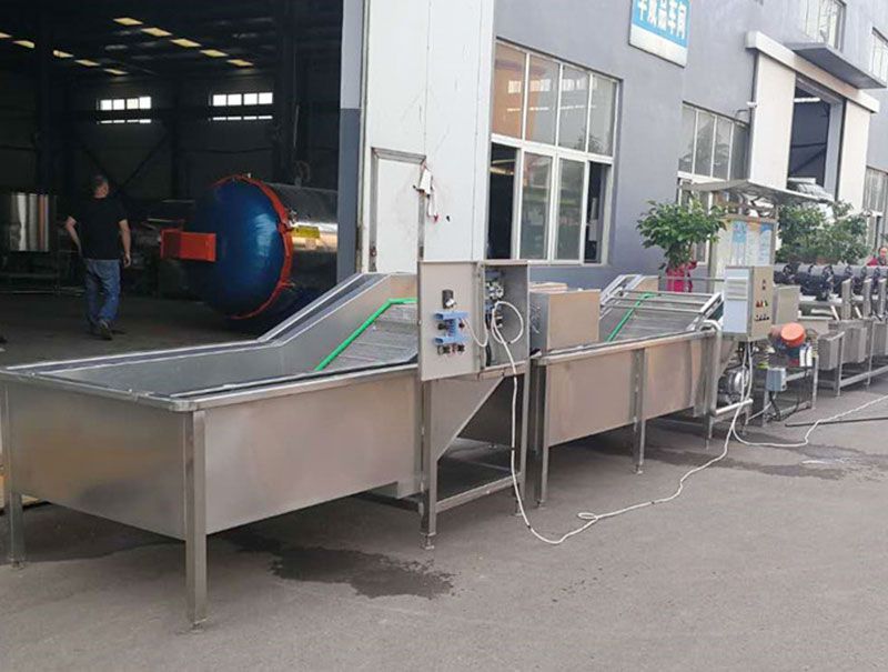 Fully Automatic Fruit Vegetable Processing Line